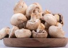 Benefits of Mushrooms: मशरूम के जबरदस्त फायदे, इम्यूनिटी बढ़ाने से लेकर वजन घटाने तक कारगर