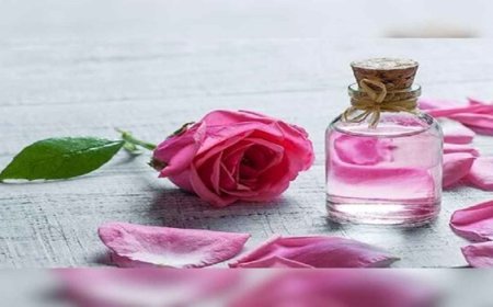 Rose Water Benefits: गुलाब जल से पाए नेचुरल ग्लो, बिना साइड इफेक्ट के चेहरे की खूबसूरती बढ़ाएं