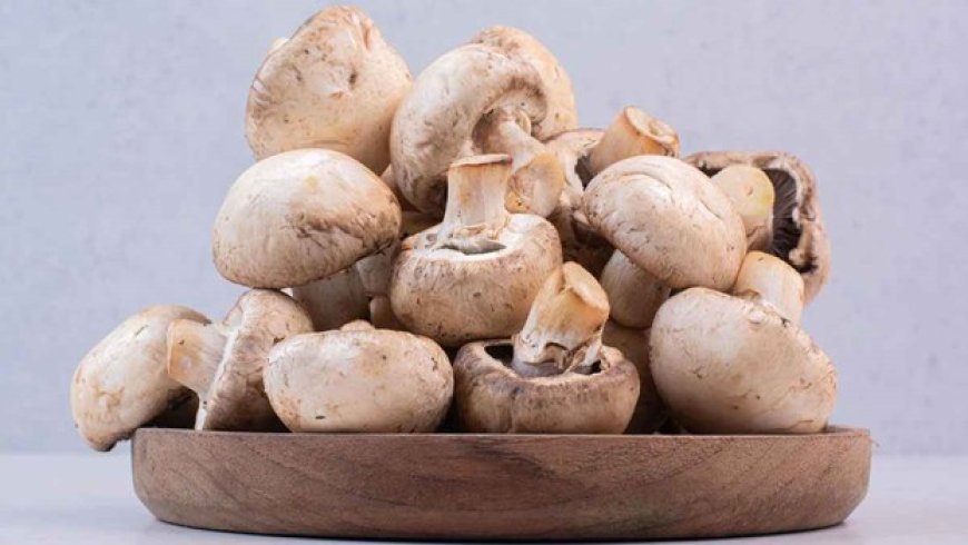 Benefits of Mushrooms: मशरूम के जबरदस्त फायदे, इम्यूनिटी बढ़ाने से लेकर वजन घटाने तक कारगर