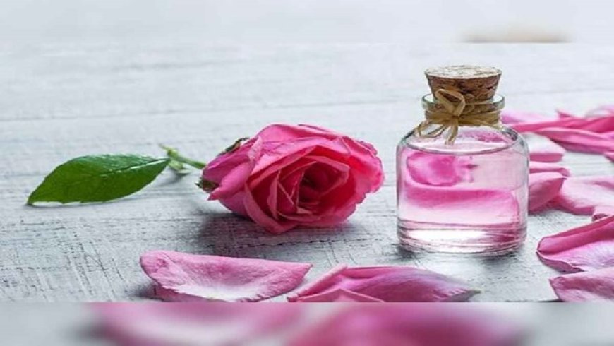 Rose Water Benefits: गुलाब जल से पाए नेचुरल ग्लो, बिना साइड इफेक्ट के चेहरे की खूबसूरती बढ़ाएं